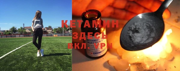 трава Бородино