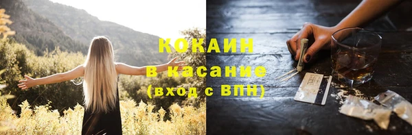 трава Бородино