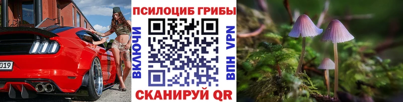 Галлюциногенные грибы MAGIC MUSHROOMS  где купить наркоту  kraken tor  Вельск 